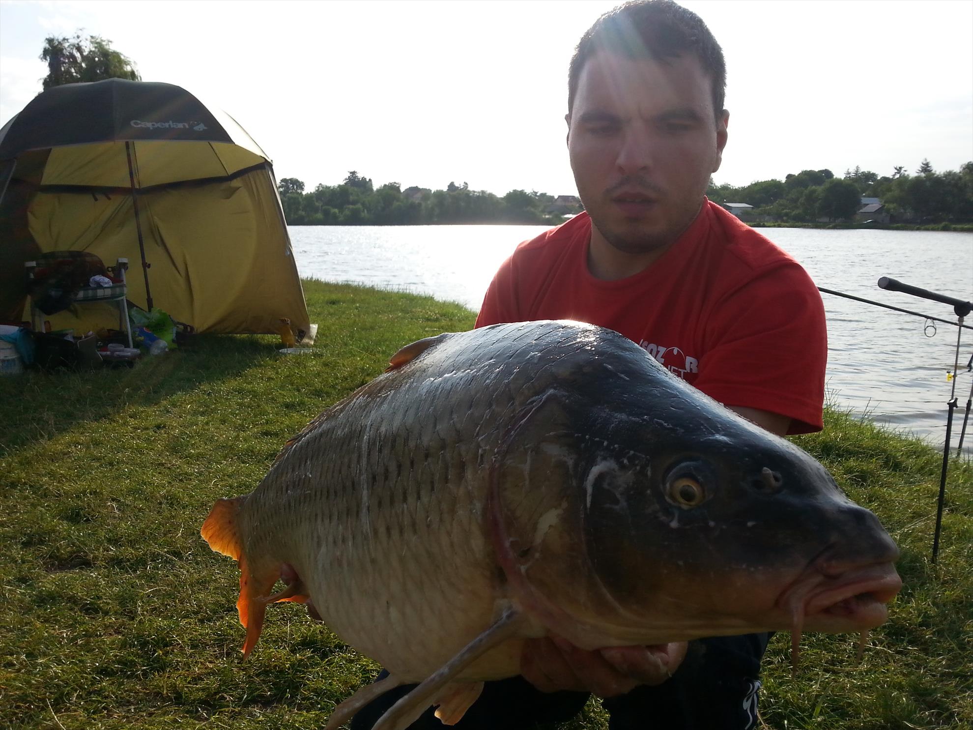 Moara Vlasiei 2 15 - 16 iulie 2014 - 20140716080903.jpg